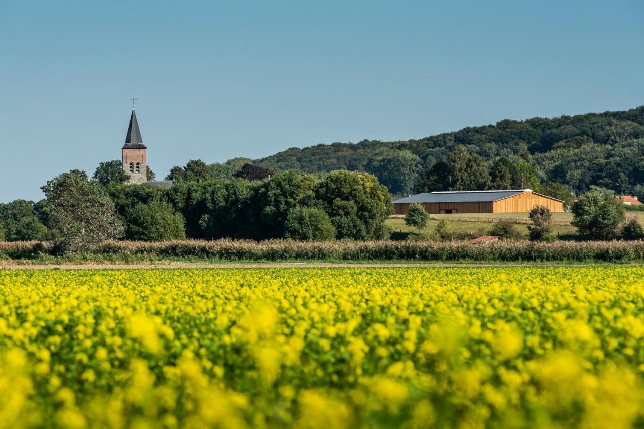 B@B Martinushoeve Oudenaarde Bagian luar foto