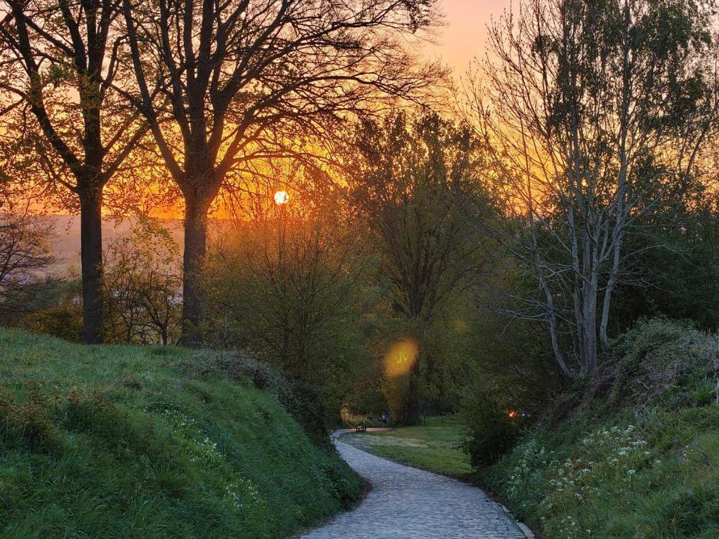 B@B Martinushoeve Oudenaarde Bagian luar foto